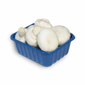 Mushrooms White Whole 8oz