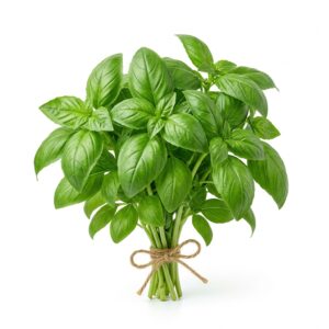 Basil Bunch