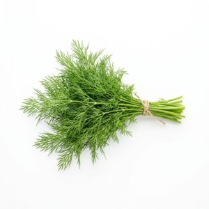 Dill Bunch, Fresh