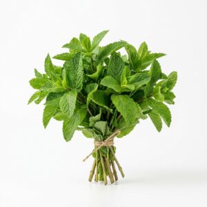 Mint Bunch