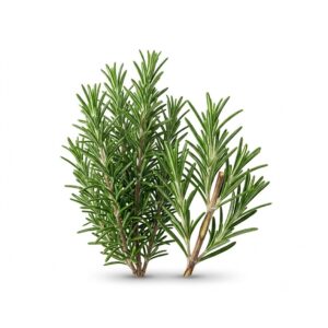 CaliKale Rosemary Washed and Checked RCC Kosher 5oz