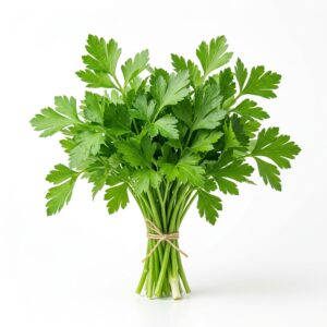 Parsley Italian Bunch
