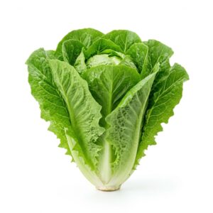 Romaine Lettuce, 3 Heads