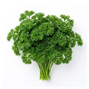 Parsley Bunch